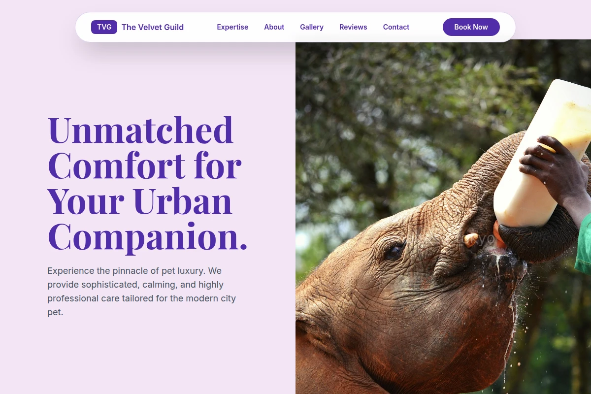 animal-care