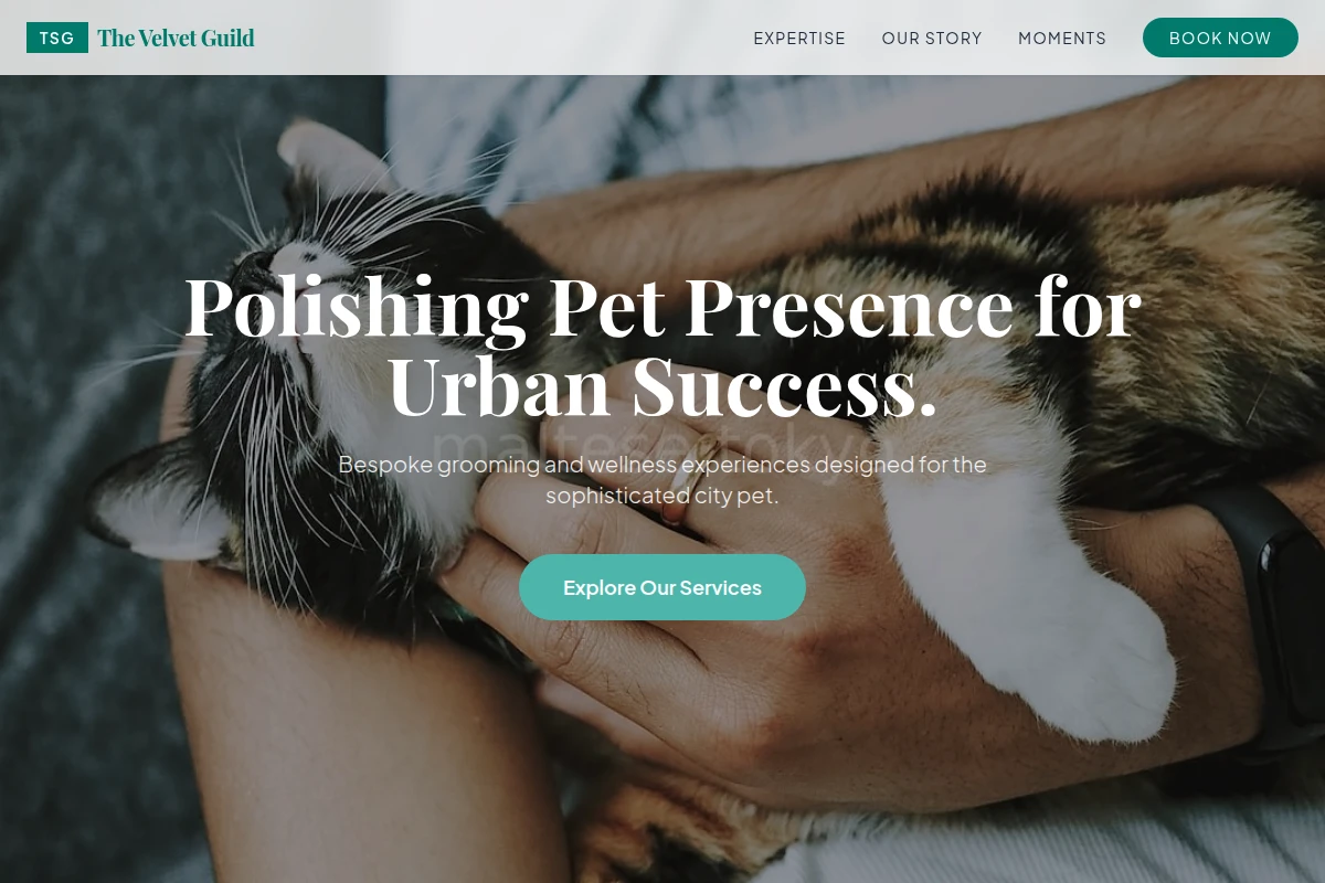 Snout Animal Care