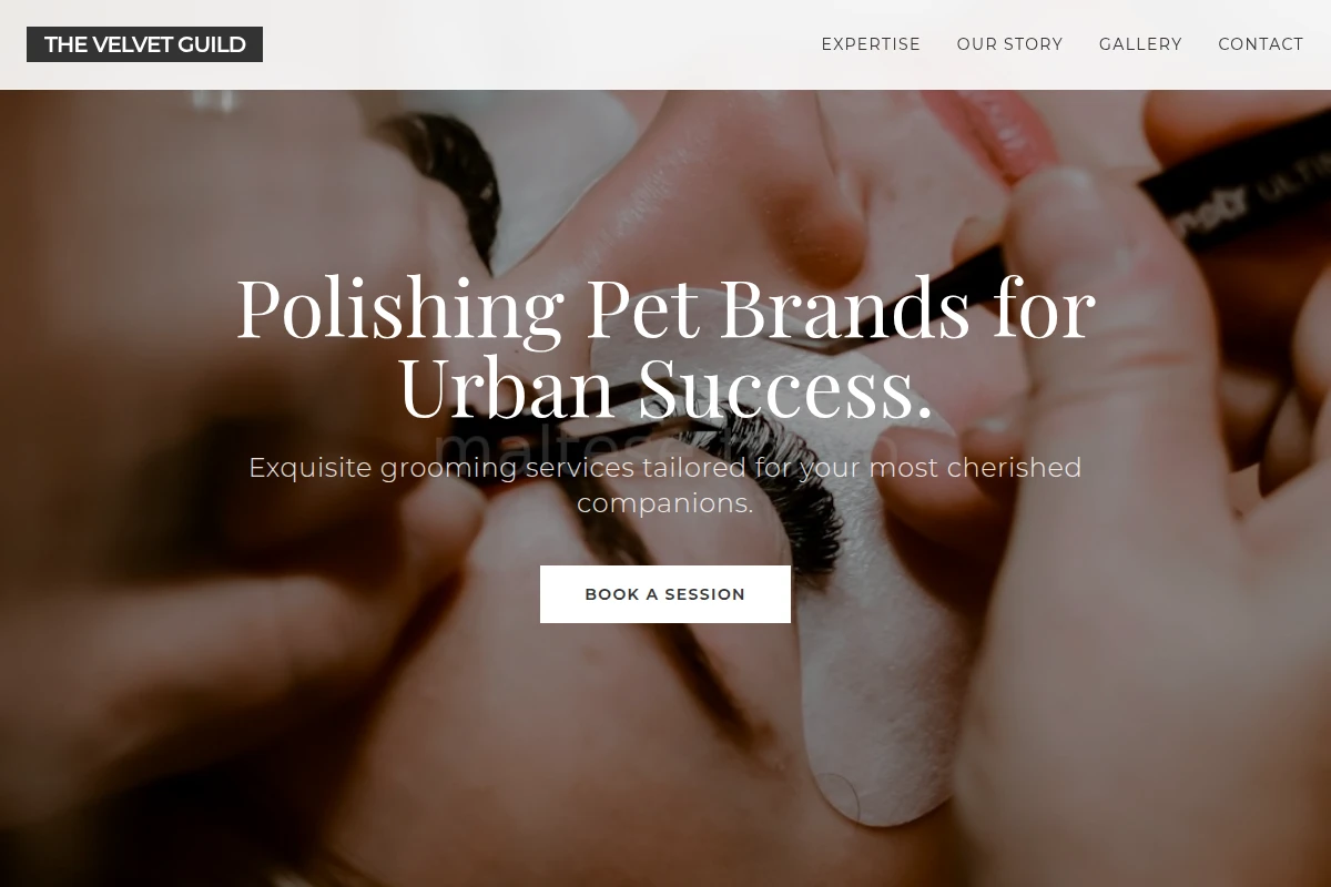 Snout Beauty Salon