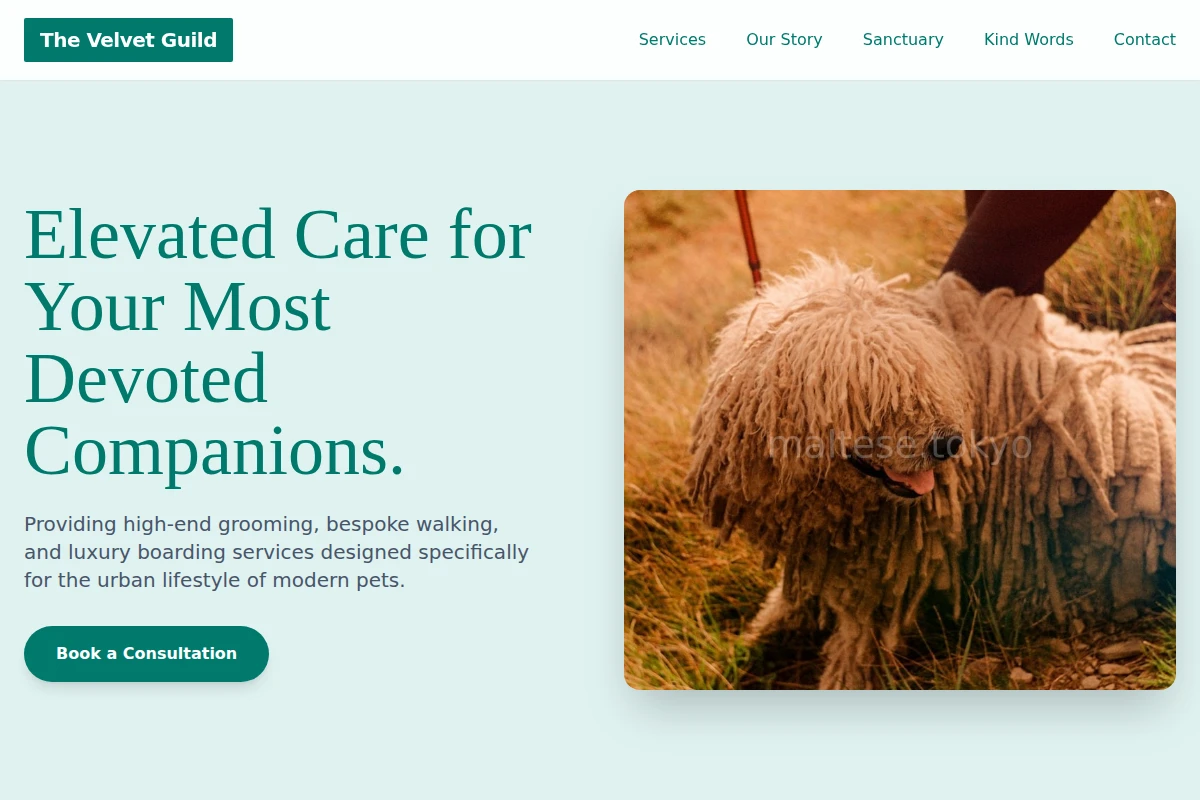 pet-services