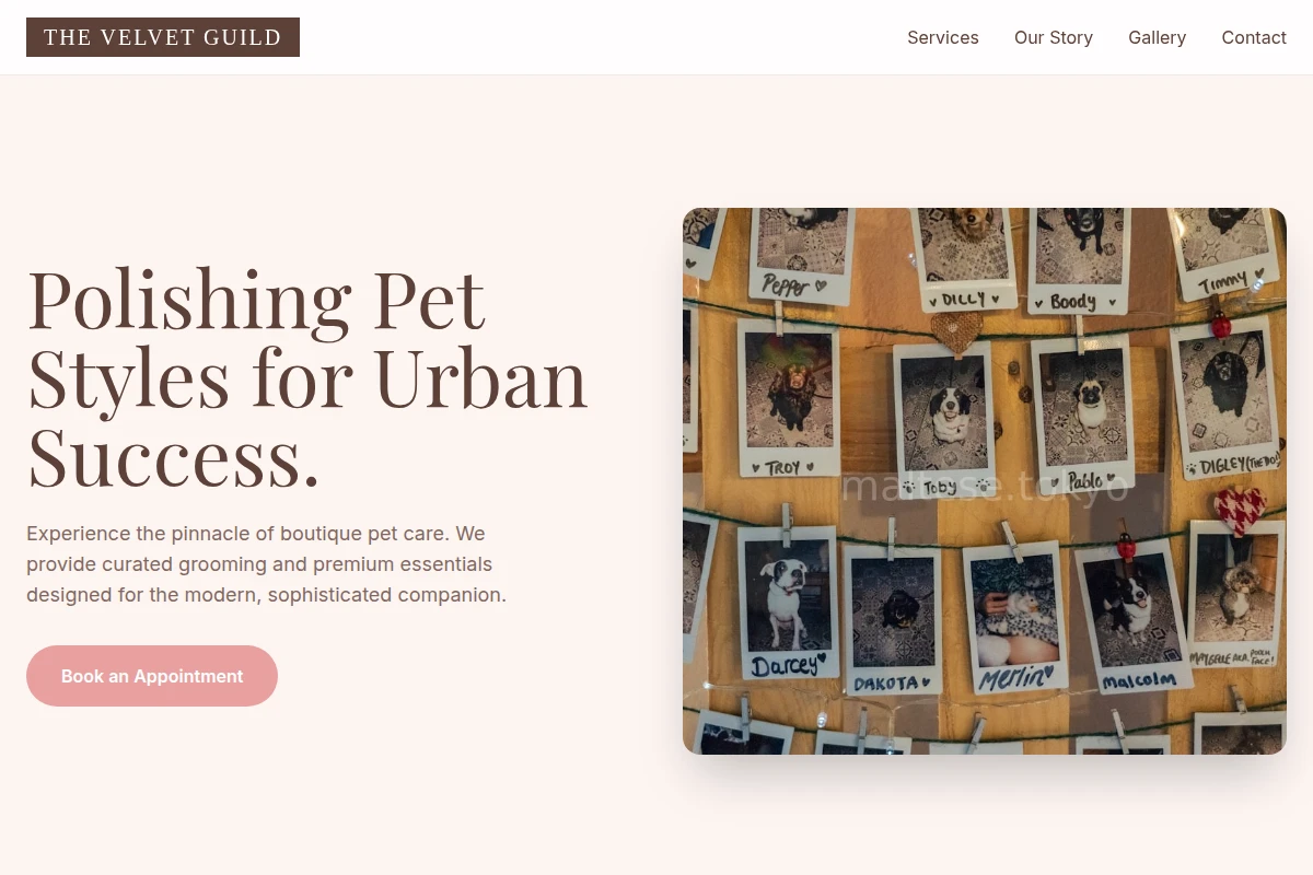 Studio Pet Shop