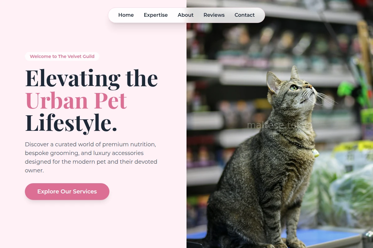 Fetch Pet Shop